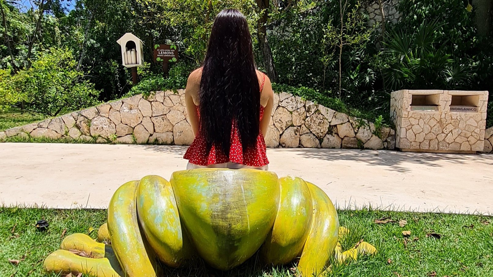 Park Xenses Tour (All Inclusive)